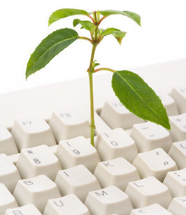 Success grows from translations